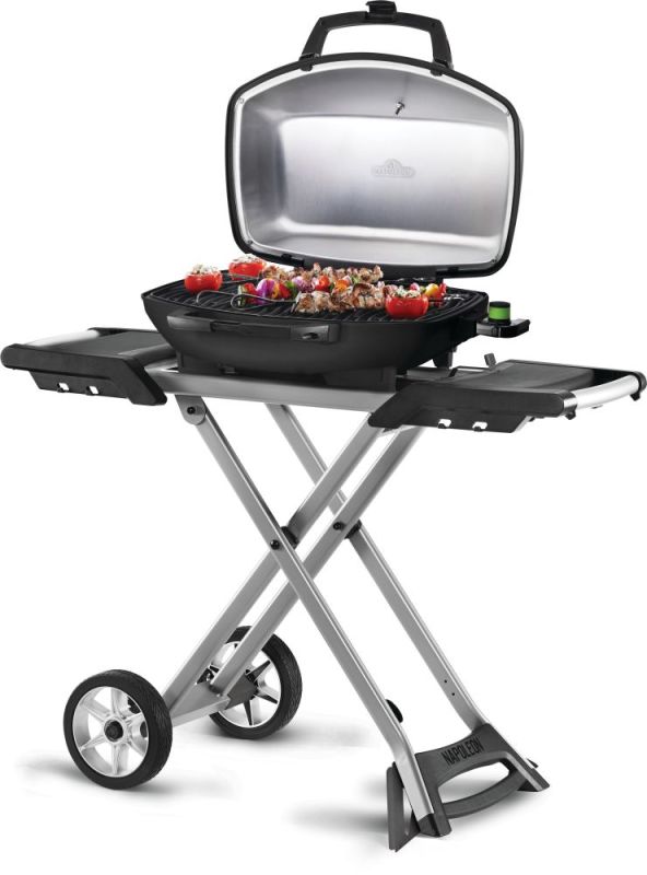 NAPOLEON® TRAVELQ™PRO285EX, mit klapbaren Wagen, Elektro