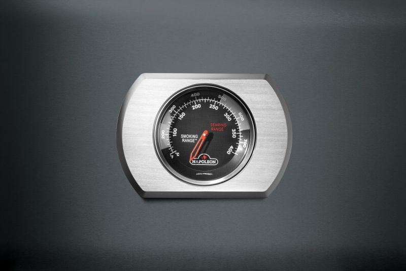 NAPOLEON ROGUE PRO 425 IR inkl. Sizzle-Zone GREY Package Aktion