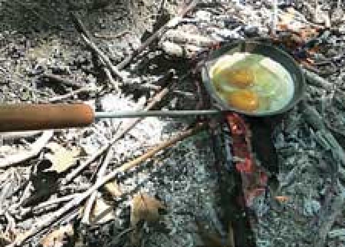 Lagerfeuer-Bratpfanne, langstielig