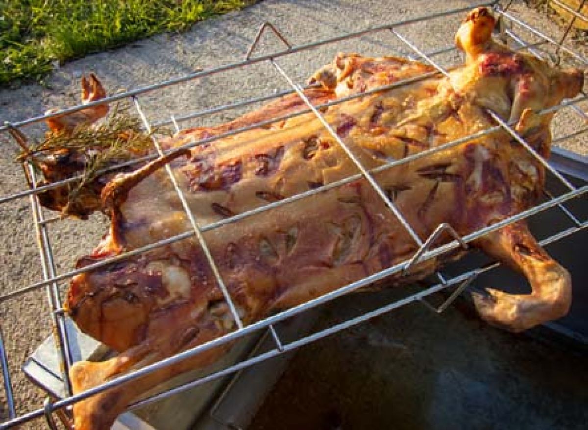 Original Kistensau-Grillgerät (Mietgerät)