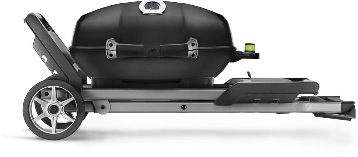 NAPOLEON® TRAVELQ™PRO285EX, mit klapbaren Wagen, Elektro